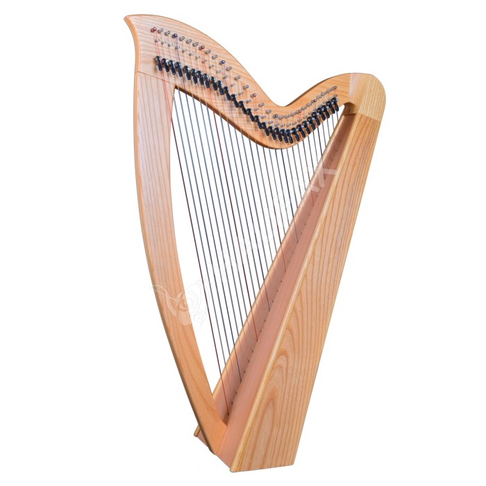 29 Strings Student Harp
